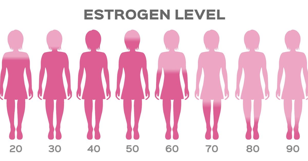 A Guide to Lowering Estrogen Levels