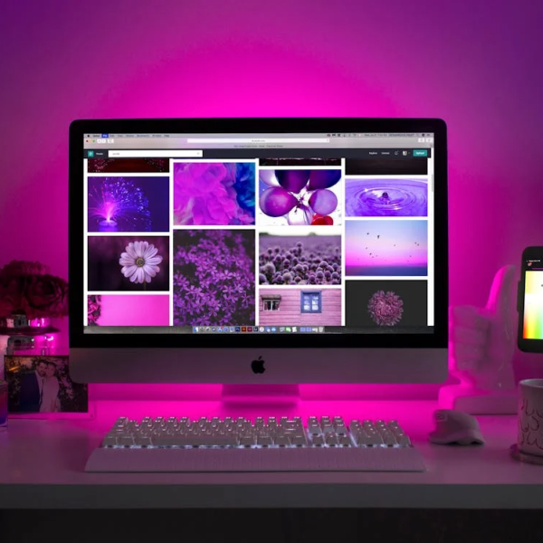 From Learner to Pro: How Canada’s Top Animation Schools (Online & On Campus) Launch Careers