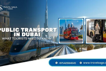 Public Transport